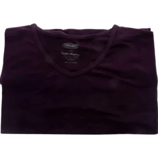 Bamboo Sleep Dolman V-Neck T-Shirt - Deep Violet by Cariloha for Women - 1 Pc T-Shirt (2XL) - Fresh Bloom Skin - Premium Skincare Solutions for Nourished, Hydrated, and Radiant Skin Every Day